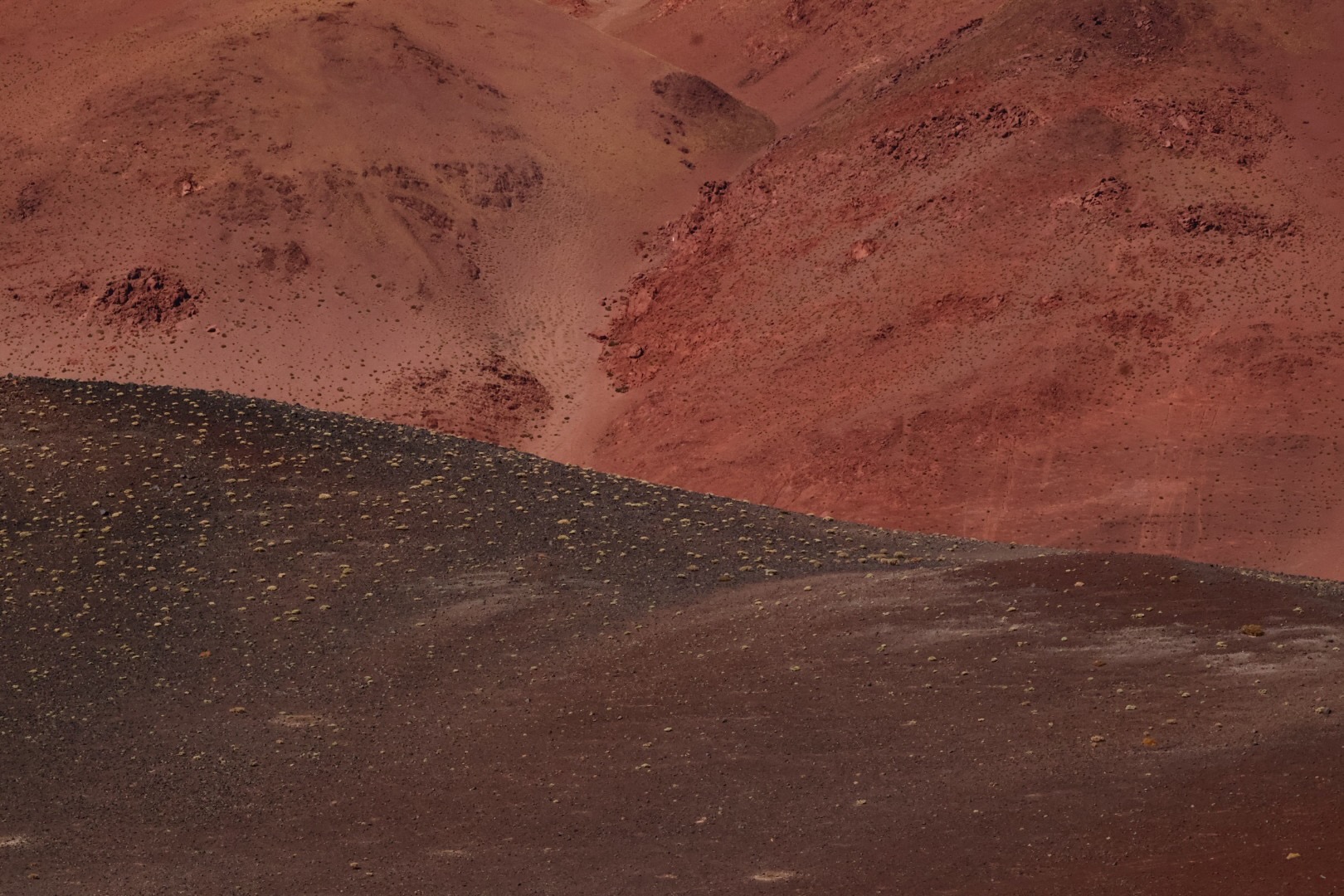 Puna Landscapes - Geometries and Cartographies
